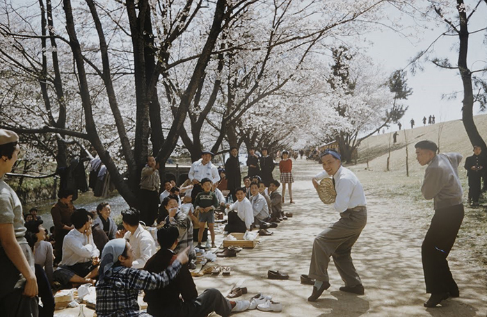 Eliot_Elisofon_Sakura