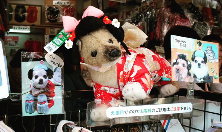 Nakamise dori shopping