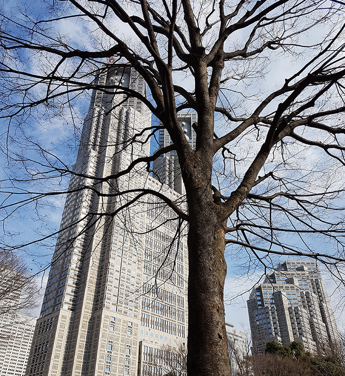 Palazzo del governo Tokyo