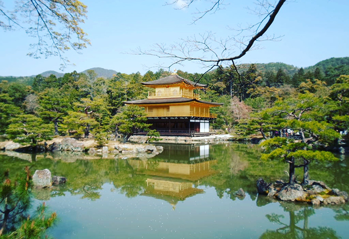 Tempio d'oro Kyoto