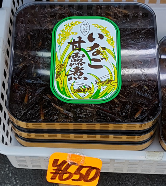 cavallette_giapponesi