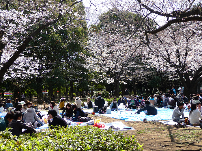 hanami