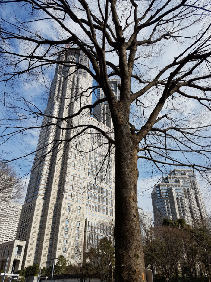 palazzo del governo di tokyo