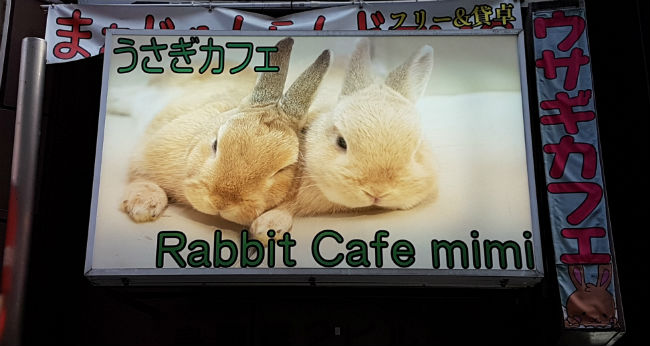 rabbit café tokyo