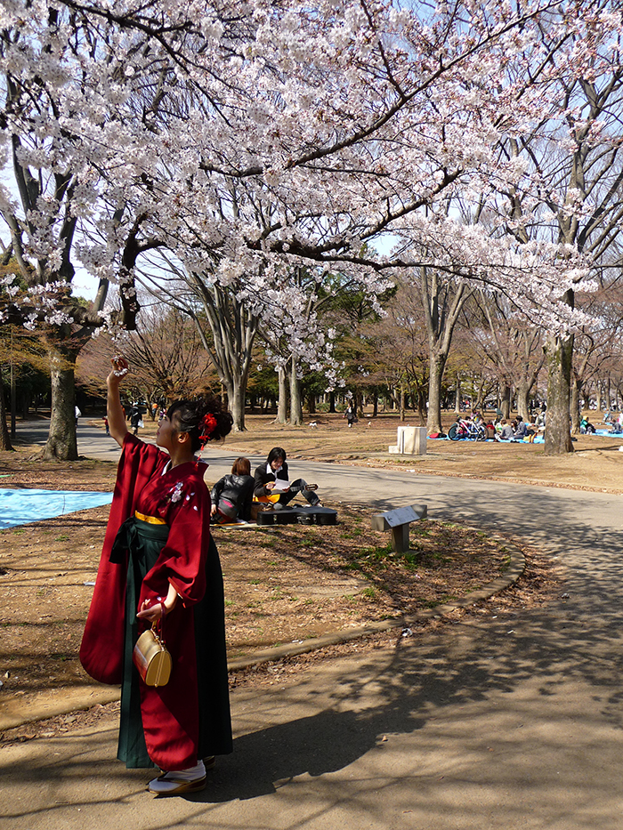ragazza kimono hanami
