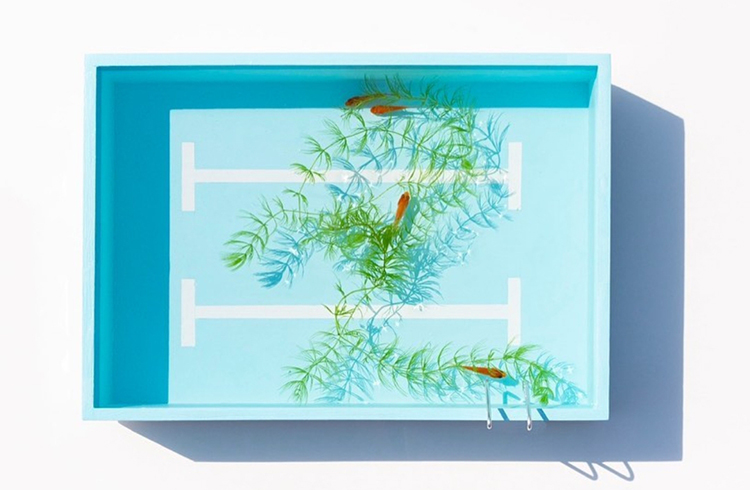 satsuki_aritome_japan